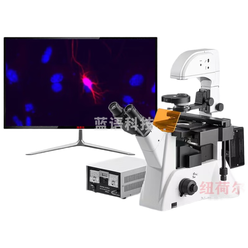 纽荷尔 研究级 倒置荧光显微镜VUVBG四色激发彩色合成专业显微成像系统 NEXT90