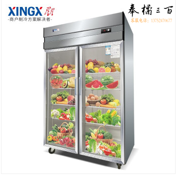 星星 SG1.0W2-X 星星（XINGX）【铜管制冷】商用冰柜厨房柜四门六门不锈钢立式大容量保鲜冷柜饭店酒店后厨冷藏柜冷冻柜  冷藏展示柜