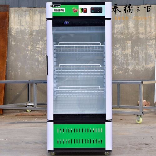 海尔/Haier 双亚 留样柜食堂用冷藏保鲜幼儿园食品留样柜带锁立式商用冰柜饮料水果展示柜 经典型