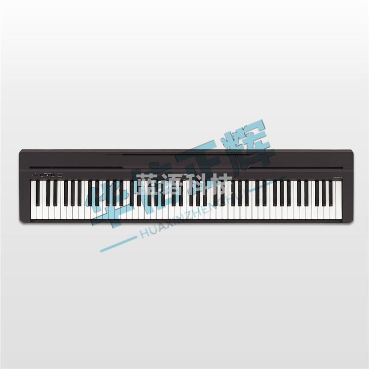 雅马哈(YAMAHA)P45 电钢琴 88键重锤键盘 琴头单机