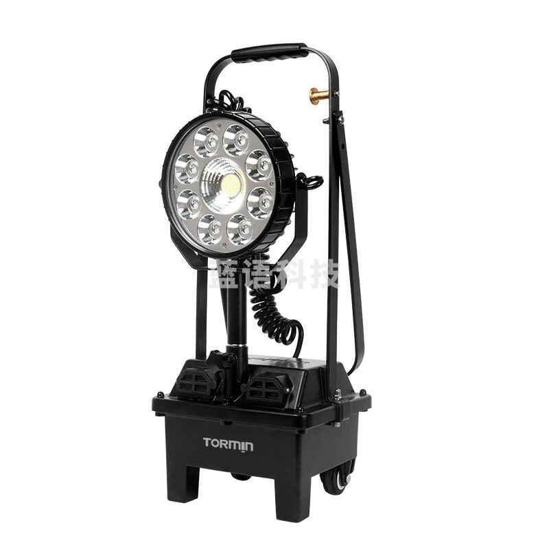 通明电器 TORMIN BW3210 防爆 强光工作灯 30W 255*250*610mm