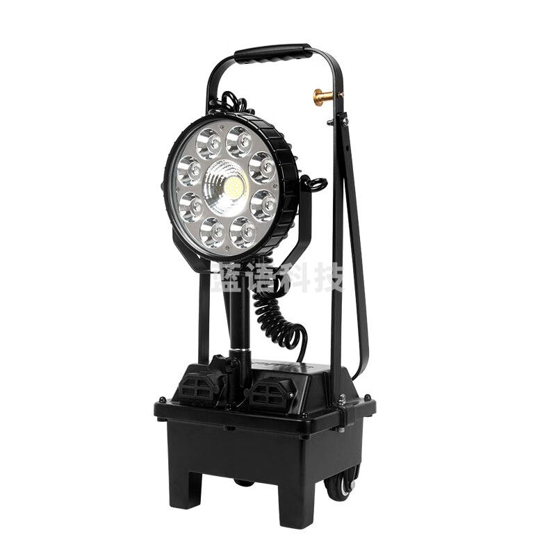 通明电器 TORMIN BW3210 防爆 强光工作灯 30W