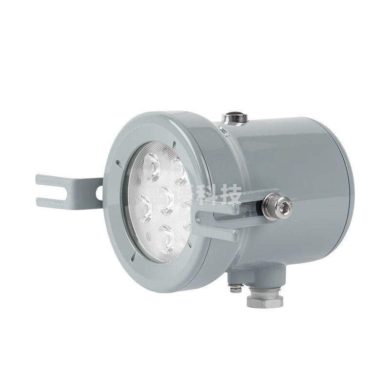 通明电器 TORMIN BC9502-L10 LED 防爆视孔灯 反应釜视镜探照灯 10W