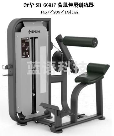 舒华SH-G6817背肌伸展训练器