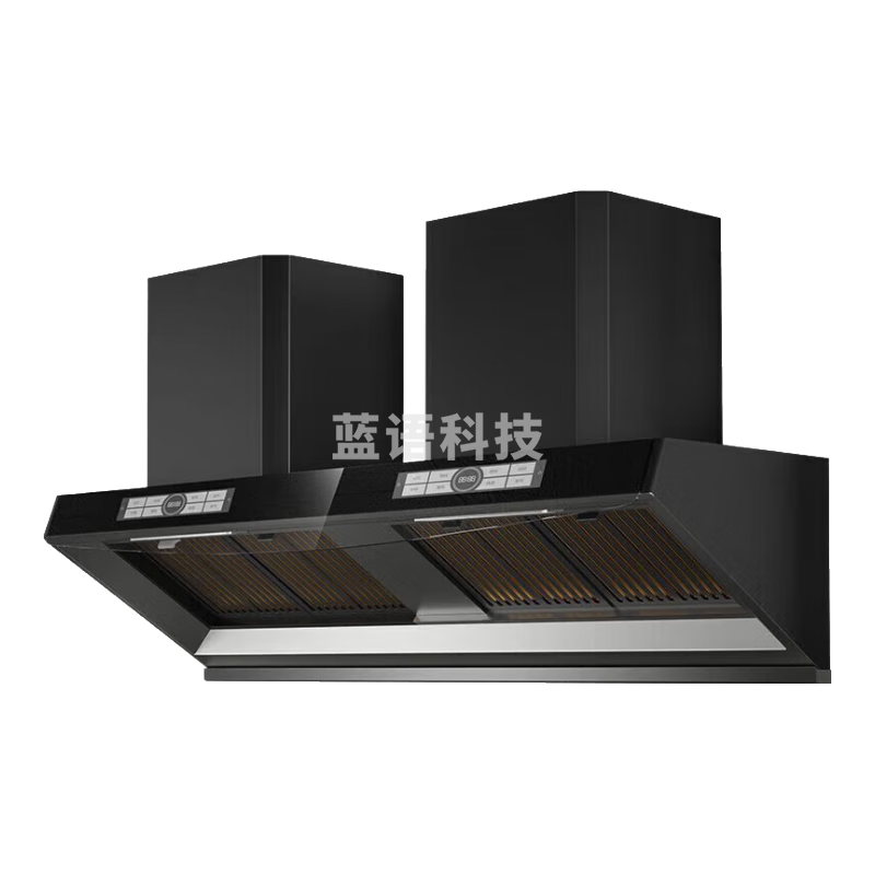 特睿思（TERUISI）商用油烟机抽油烟净化器不锈钢油烟罩大吸力农村柴火灶饭店厨房炸鸡店大功率 WZ-CY200-01