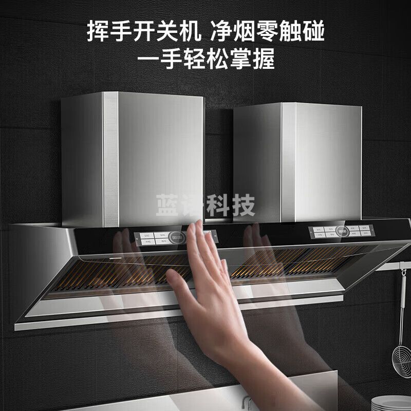 特睿思（TERUISI）商用 油烟机抽油烟净化器不锈钢油烟罩大吸力农村柴火灶饭店厨房炸鸡店大功率 WZ-E