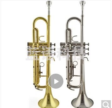 津宝 JBTR-300小号乐器金色银色可选