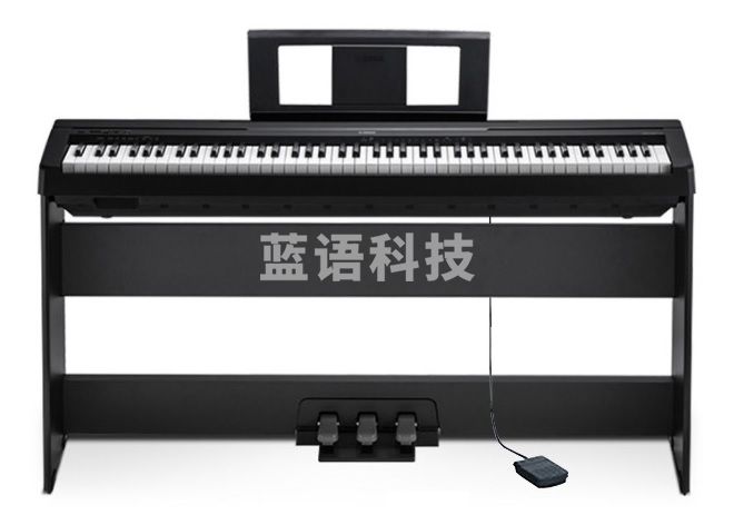雅马哈(YAMAHA)电钢琴P48B专业便携88键重锤键盘初学家用儿童教学数码钢琴P48 P48B原装木架三踏+标配+全套礼包