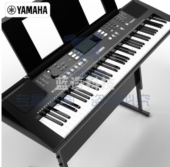 雅马哈（YAMAHA）PSR-EW310 电子琴专业演奏教学76键 +琴架+琴包配件大礼包