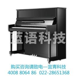 珠江RS120 钢琴里特米勒专业立式钢琴 黑色