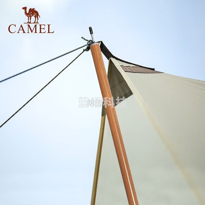 骆驼（CAMEL）户外铝合金天幕杆帐篷门厅支撑杆铝杆超长伸缩柱支架加粗两根 1J32263756 银色