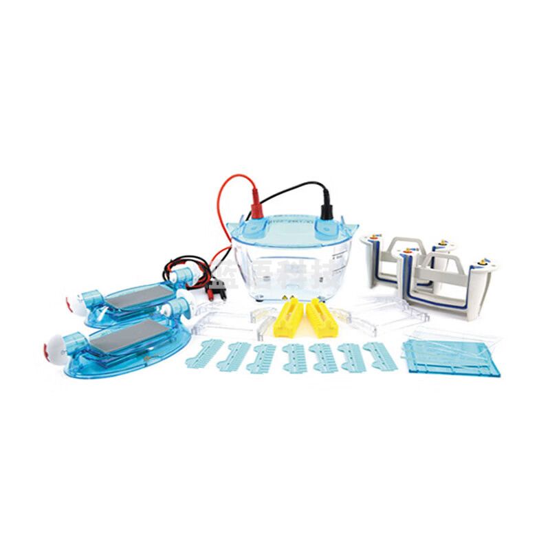 JISENPUER北京六一DYCZ-24KF四板垂直电泳仪 DYCZ-24KF