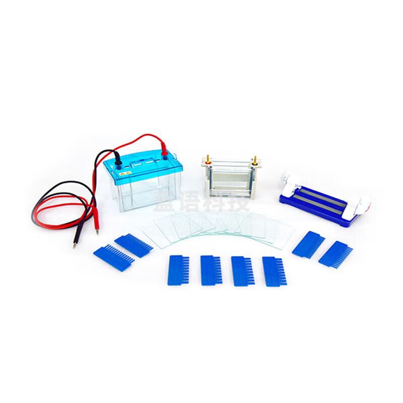 JISENPUER北京六一DYCZ-24DH型双板垂直电泳仪 DYCZ-24D