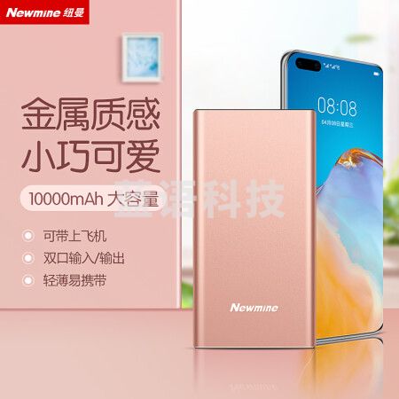 纽曼（Newmine ）M106移动电源10000毫安时 双USB输出Type-C输入金属充电宝 粉