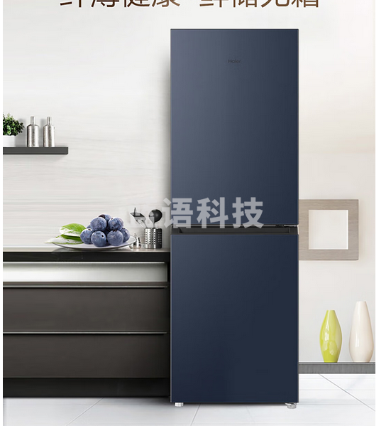 海尔（Haier）202升冰箱双开门风冷无霜冷藏冷冻浅薄机身90°开门家用租房两门冰箱 BCD-202WGHC290B9