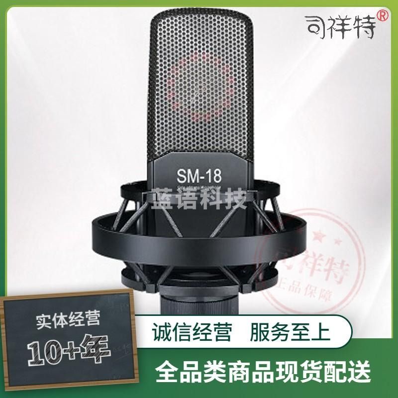 得胜 TAKSTAR SM-18 专业电容麦克风 黑色 标配 不带声卡 计价单位:台