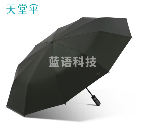 天堂 30975E黑胶防晒10骨加固一键开收易甩干简约全自动雨伞 纽曼绿