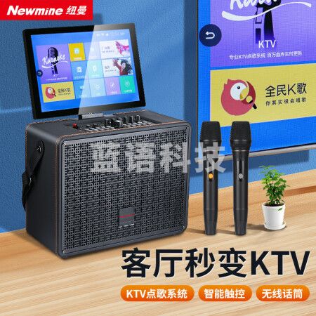 纽曼（Newmine）D22广场舞音响带显示屏 4K屏可翻转 三分频8吋 U段双话筒 黑