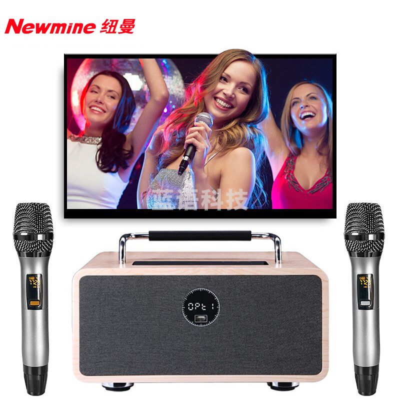 纽曼（Newmine） 音响套装 TV-01 家庭ktv音响套装