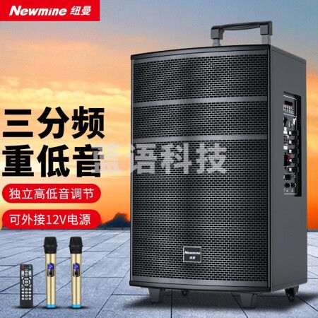 纽曼(Newmine)L66户外广场舞音响 15英寸移动便携式拉杆音箱 蓝牙三分频喇叭 双话筒+遥控器