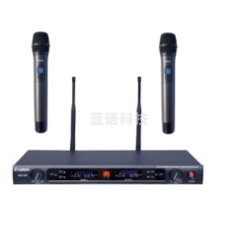 湖山 DS-U5 演绎无线话筒 一拖二