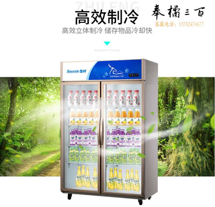 雪村 LC-1200 冷藏展示柜雪村 1.2米双开门展示柜冷藏 保鲜冷藏展示柜 LC-1200