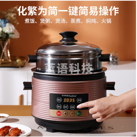 荣事达 孝心煲微电脑电饭煲家用4L大容量宿舍神器加厚内胆不锈钢带蒸屉不粘锅多功能电饭锅 孝心煲 RZ-YS40B