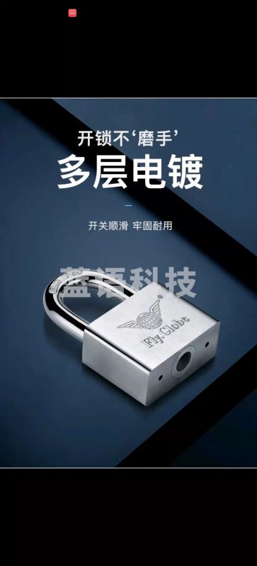 飞球（Fly.Globe）挂锁 304不锈钢锁头 宿舍仓库大门锁防水防锈锁具 40MM