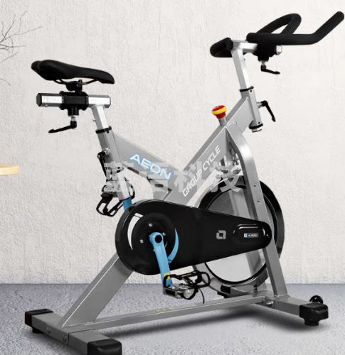 正伦B2600+动感单车