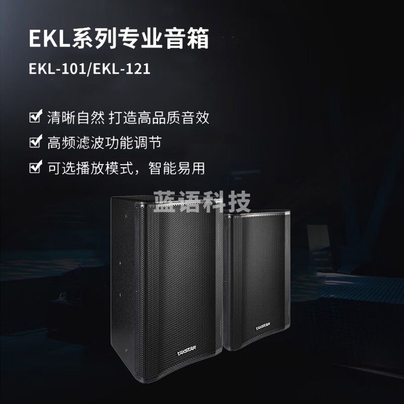 得胜 (TAKSTAR)专业会议音响套装 会议、演出、演讲、报告会