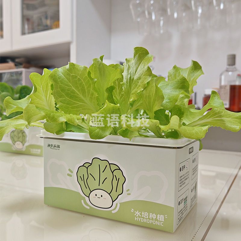 水培生菜果蔬种植盒6孔套装(种子，肥料)