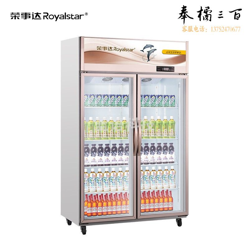 荣事达 冷柜/酒柜/便携冷热箱配件 双开门纯风冷展示柜 冷藏柜保鲜展示柜风冷款 啤酒饮料串串