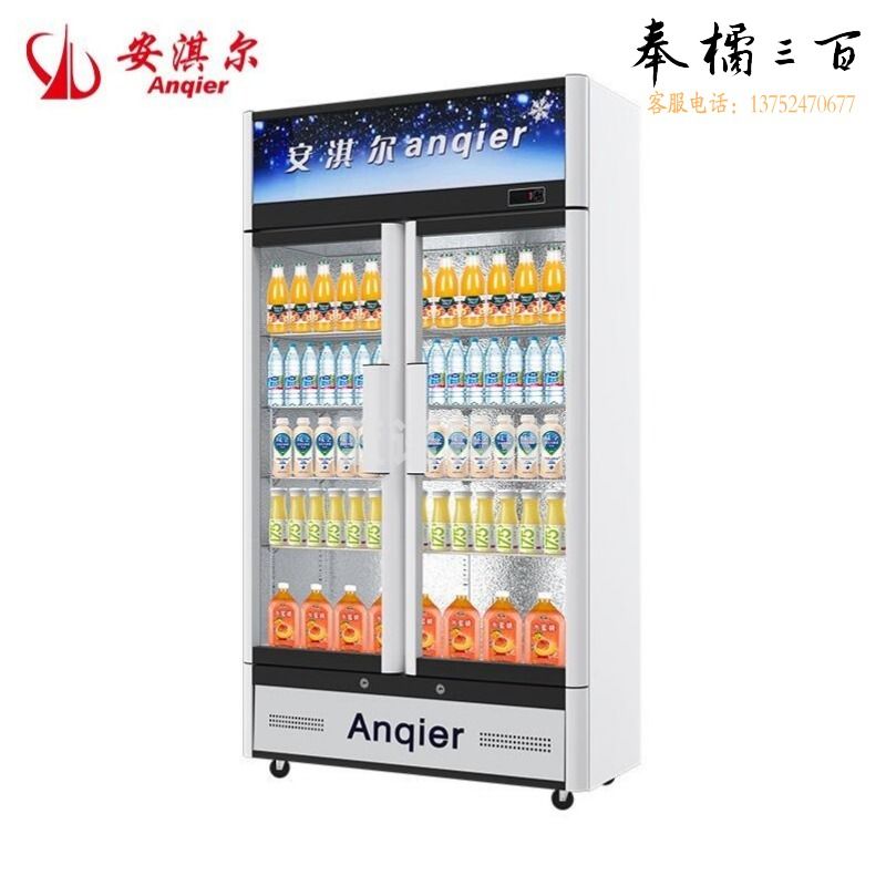 安淇尔 （Anqier） 饮料柜 冷藏展示柜商用立式冰柜冷柜便利店超市冰箱啤酒冷饮柜士多店保鲜柜 LC-680MM直冷冷藏双冂【铜管】 饮料柜 超低温冰箱-