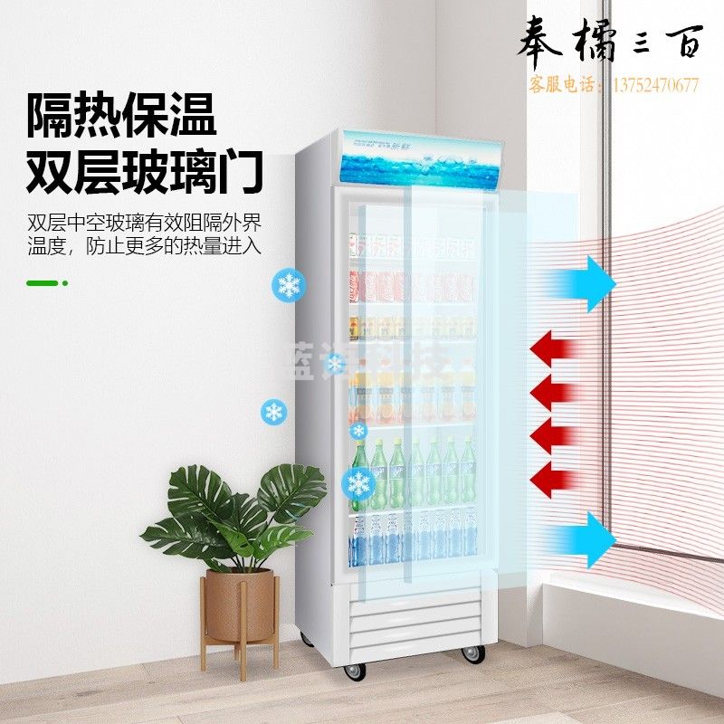 圣托（Shentop）商用冷藏柜超市冰柜 立式饮料柜冰箱商用冷柜 单门展示柜士多店保鲜柜 STLW-ZC1