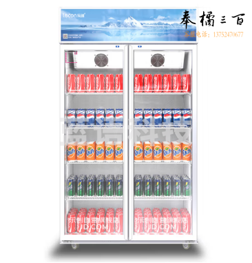 乐创 LC-ZSG02 双开门展示柜冷藏柜保鲜饮料柜超市便利店冰箱立式冷柜（单位：件）