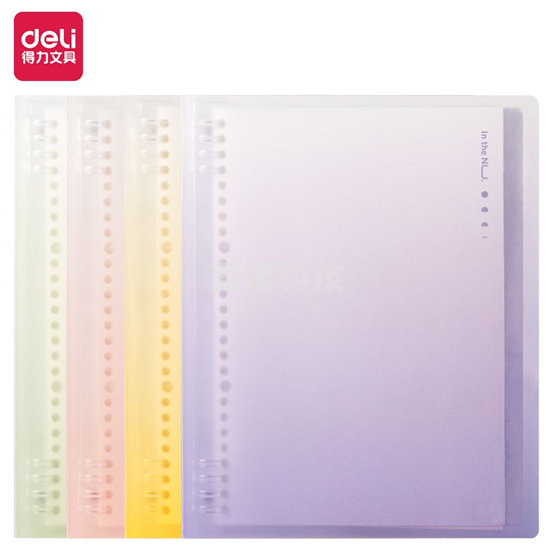 得力(deli) 纽赛NS319活页本A5-40张(混)(本)