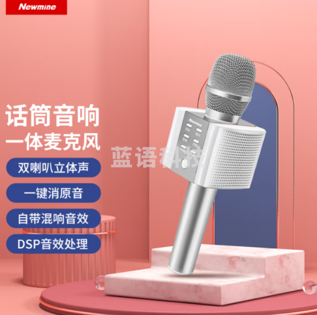 纽曼 (Newmine) MC10麦克风音响一体机自带声卡无线蓝牙话筒K歌家用KTV唱歌电容麦K歌宝 银色