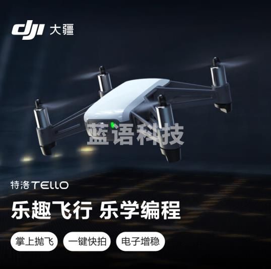 DJI大疆 Tello畅飞套装无人机（标准版+2块电池）（CX202404261506552908）