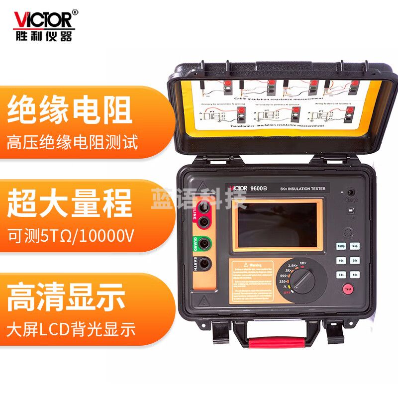 胜利仪器（VICTOR）高压绝缘电阻测试仪 兆欧表 电阻测试器 VC9600B