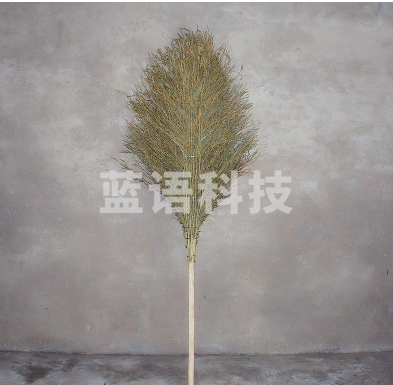 加厚一体式环卫大竹扫把 加厚笤帚
