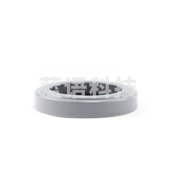 世达（SATA） HF0419滤棉盖(大) 10个装 白色