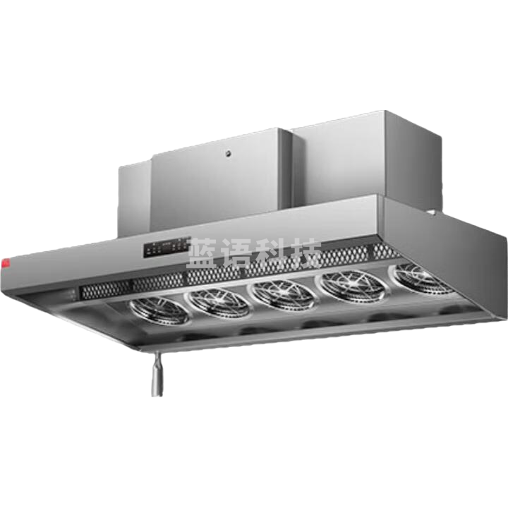 德玛仕（DEMASHI）油烟 净化一体机 商用 大功率顶吸式2.2米抽油烟机净烟机油烟净化器MC-JND-J2200（380V）