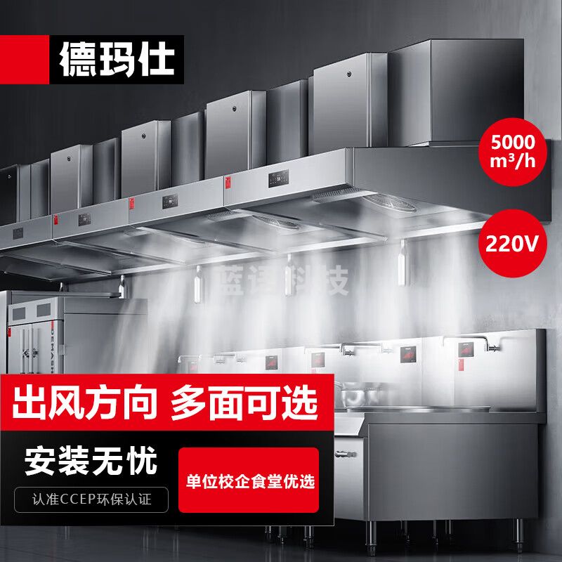 德玛仕（DEMASHI）油烟 净化一体机商用 大功率顶吸式2.0米抽油烟机净烟机油烟净化器MC-JND-J2000（220V）