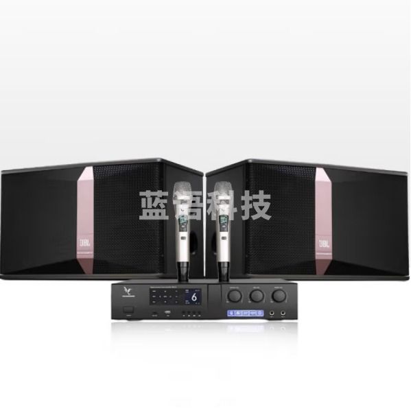 JBL KI510 音响套装 带麦克风 大功率音箱 蜂鸟PLS-3三合一功放一体机 10英寸