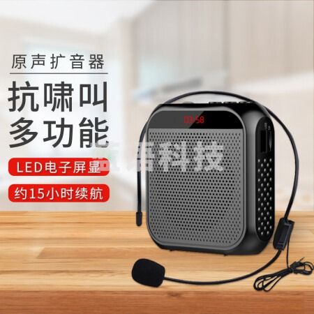 雅兰仕 (EARISE) S19 便携式数码扩音器教师 大功率扩音教学专用导游扩音器 U盘插卡音箱播放器 唱戏机 黑色