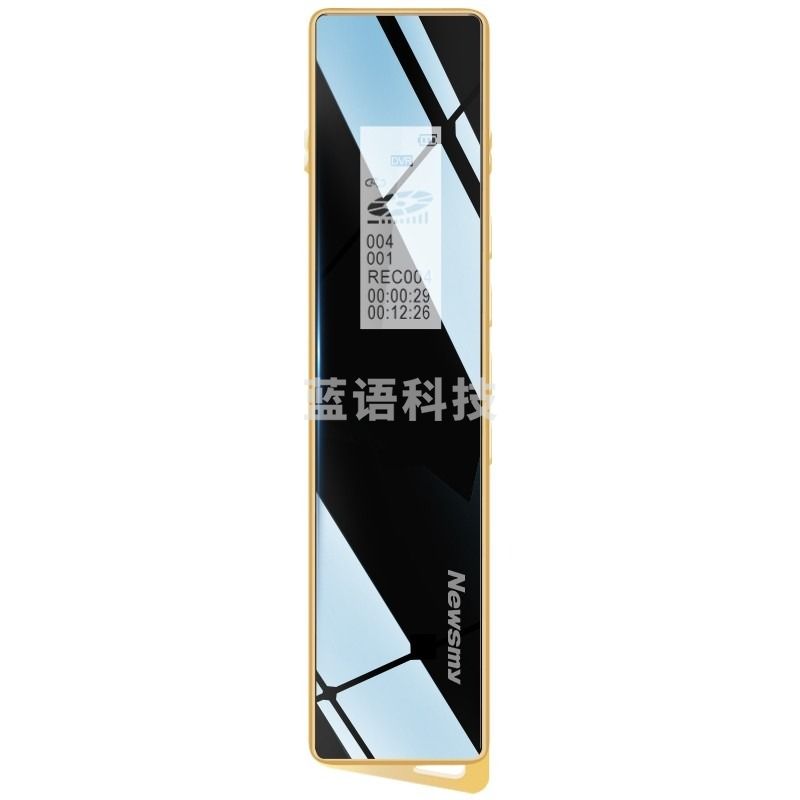 纽曼（Newsmy）录音笔 V03 16G 专业普及微型高清降噪 学习/会议采访取证适用 MP3播放器 金色