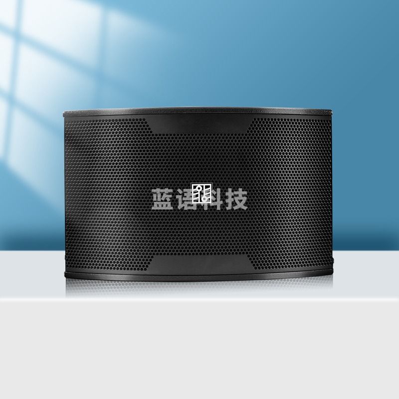 完美本色(Perfect Pure)K10家庭ktv音响家用k歌卡包壁挂卡拉OK酒吧舞蹈室会议专业舞台演出音箱 黑色(单只)