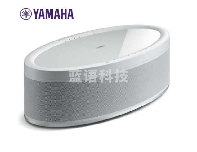 雅马哈（Yamaha）WX-051 音箱 HIFI音响 家庭影院无线环绕音箱 WIFI无线 蓝牙音响 Hi-Res高解析音频 白色