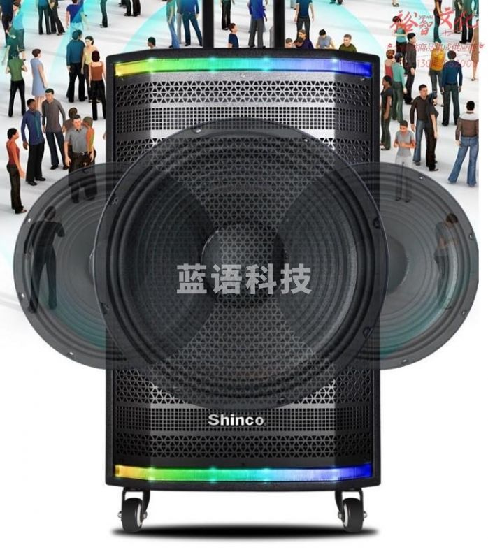 新科（Shinco）Z-19大功率广场舞灯光音响户外便捷式拉杆音响无线麦克风专业演出K歌蓝牙音箱