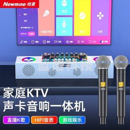 纽曼（Newmine）K121声卡音响一体机 无线麦克风 双话筒